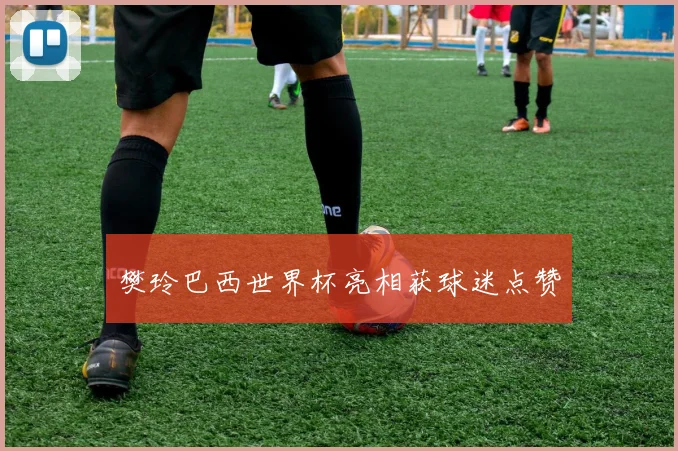 樊玲巴西世界杯亮相获球迷点赞