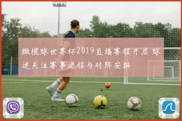 橄榄球世界杯2019直播赛程开启 球迷关注赛事进程与对阵安排