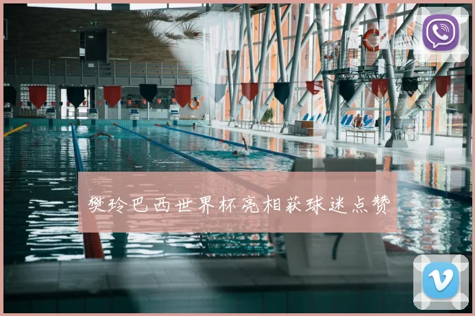 樊玲巴西世界杯亮相获球迷点赞