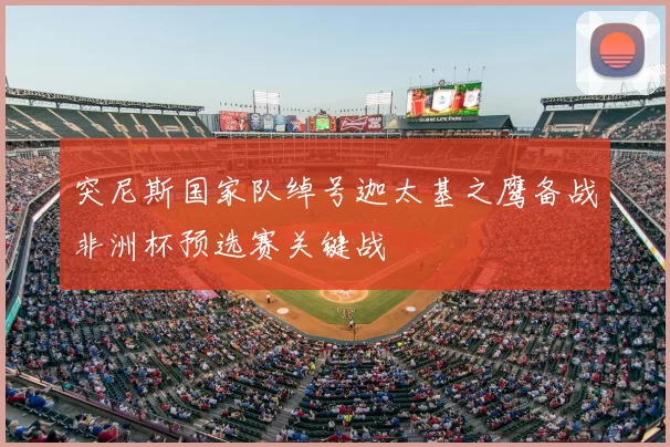 突尼斯国家队绰号迦太基之鹰备战非洲杯预选赛关键战