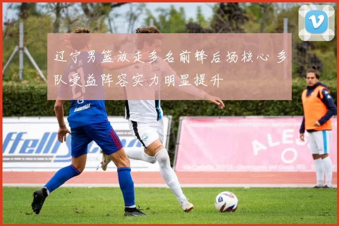 辽宁男篮放走多名前锋后场核心 多队受益阵容实力明显提升